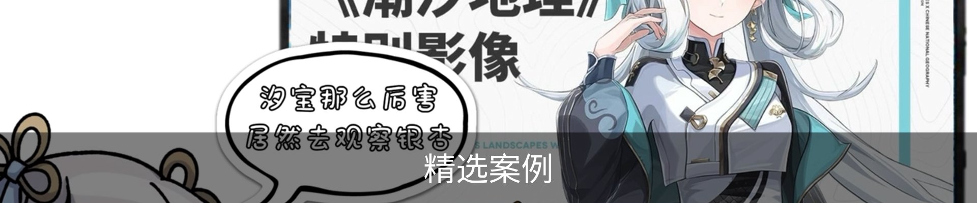 精选案例
